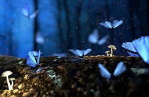 soul plan, between lives soul regression, pre birth plan, pre-birth plan, life plan, between lives, soul regression, life between lives, LBL, between lives regression, Liesel Fricke, Anneliese Fricke, life of a soul, soul regression hypnosis, soul connect hypnosis, regression hypnosis, other lives, reincarnation, karma, higher self, empath, ascension, channeling, soul, healing