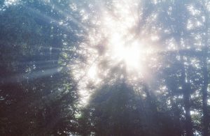 soul plan, between lives soul regression, pre birth plan, pre-birth plan, life plan, between lives, soul regression, life between lives, LBL, between lives regression, Liesel Fricke, Anneliese Fricke, life of a soul, soul regression hypnosis, soul connect hypnosis, regression hypnosis, other lives, reincarnation, karma, higher self, empath, ascension, channeling, soul, healing