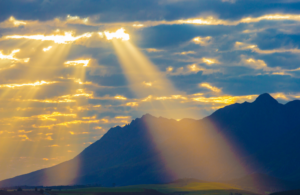 soul plan, between lives soul regression, pre birth plan, pre-birth plan, life plan, between lives, soul regression, life between lives, LBL, between lives regression, Liesel Fricke, Anneliese Fricke, life of a soul, soul regression hypnosis, soul connect hypnosis, regression hypnosis, other lives, reincarnation, karma, higher self, empath, ascension, channeling, soul, healing