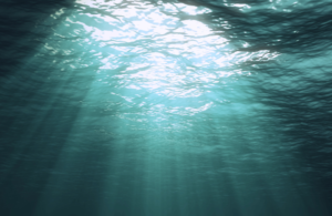 soul plan, between lives soul regression, pre birth plan, pre-birth plan, life plan, between lives, soul regression, life between lives, LBL, between lives regression, Liesel Fricke, Anneliese Fricke, life of a soul, soul regression hypnosis, soul connect hypnosis, regression hypnosis, other lives, reincarnation, karma, higher self, empath, ascension, channeling, soul, healing