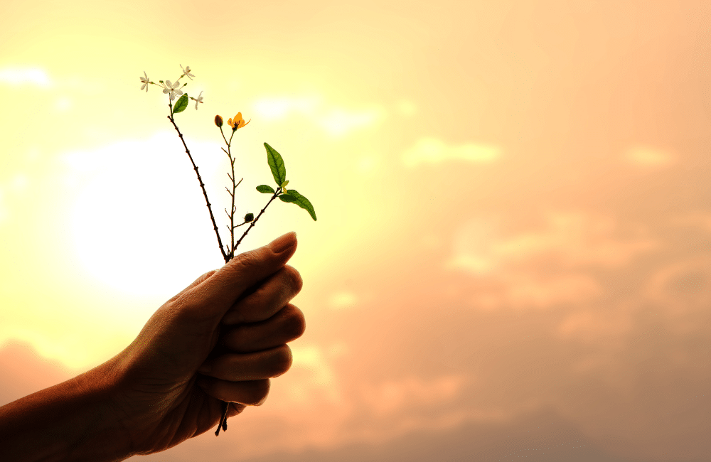 Person's hand extending small blooming flowers toward the sun, representing thankfulness and blessing