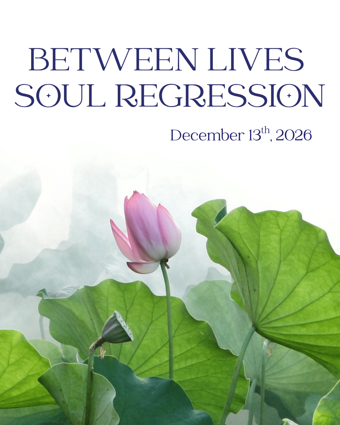 BLSR December 2026